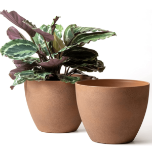 Flower Pots Outdoor - Large Garden Planters with Drainage Holes Set of 2 (11.3 Inch, Terracotta Color)